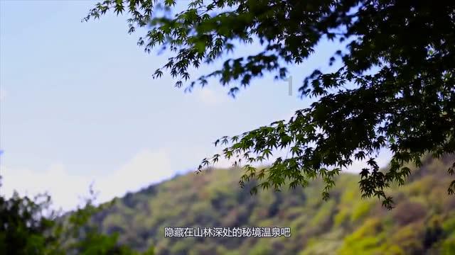 阿提拉：全面战争